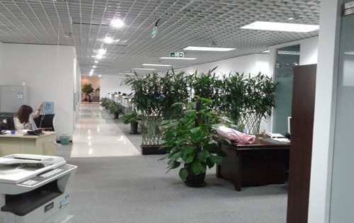 奈伦大厦办公区