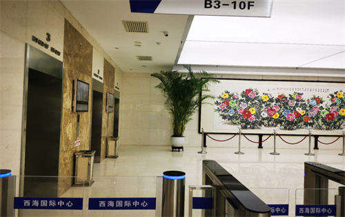 ​西海国际中心电梯