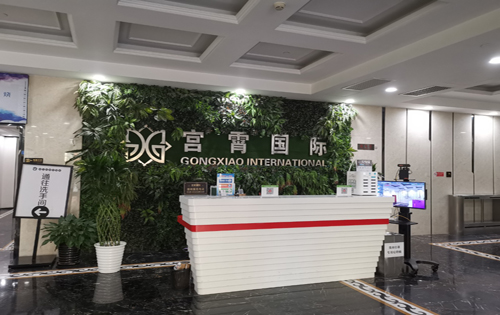 宫霄国际前台
