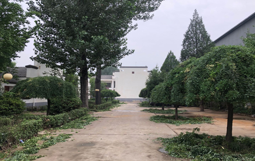 展洲国际艺术区公共区域