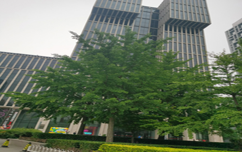 万达广场周边环境