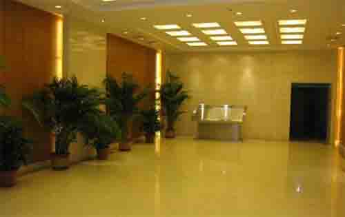 青东商务区公共区域