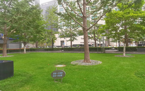 中国人寿中心绿化