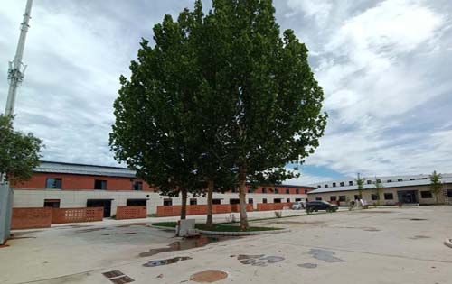 中逸文化产业基地地上停车场