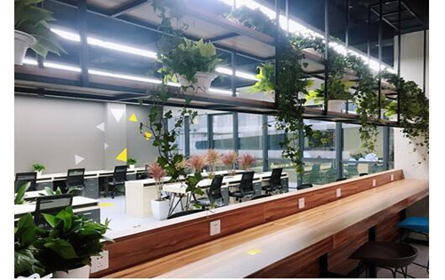 首投科创园办公区