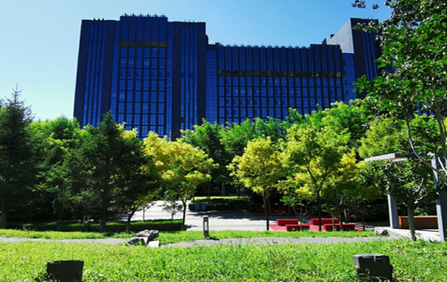 新华世通中心绿化