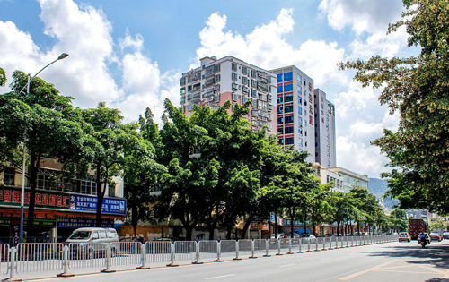 国际传播大厦内景