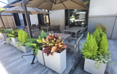 1921花园胡同文化产业园内景