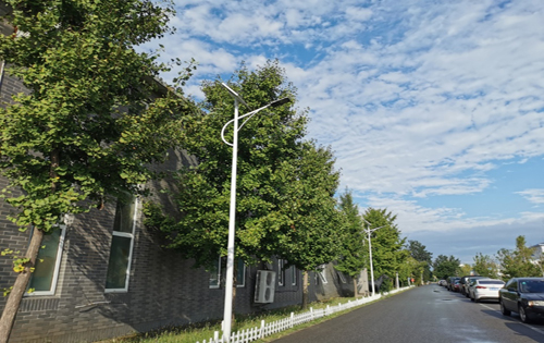 东村文化创意产业园内景