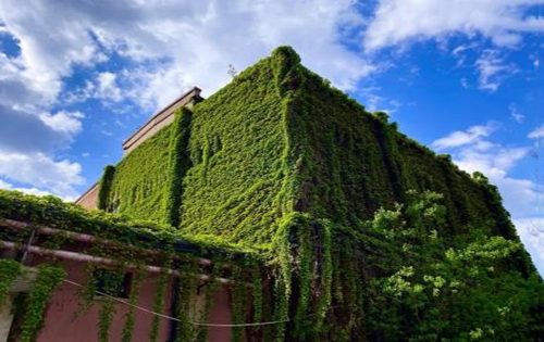 龙徽1910文化创意产业园内景