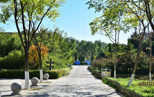 中合国青大厦内景