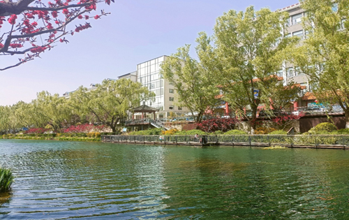 亮点·德胜内景