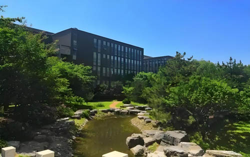 汇龙森三园假山